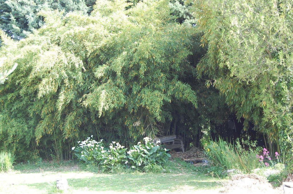 Gite Le Gre Chantemerle-lès-Grignan المظهر الخارجي الصورة